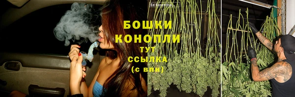 MESCALINE Елизово