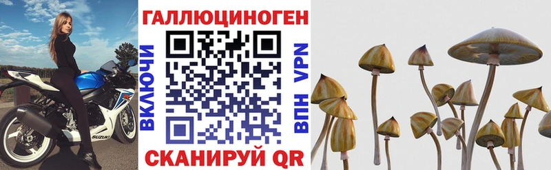 Купить закладки  Калачинск  Галлюциногенные грибы Psilocybine cubensis 